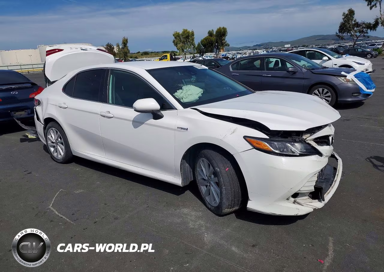 2019 Toyota Camry Le VIN:4T1B31HK6KU006310 - 4