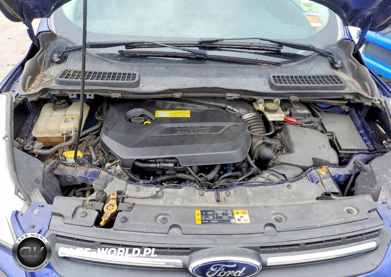 2013 Ford Escape Se VIN:1FMCU0GX8DUC53484 - 11