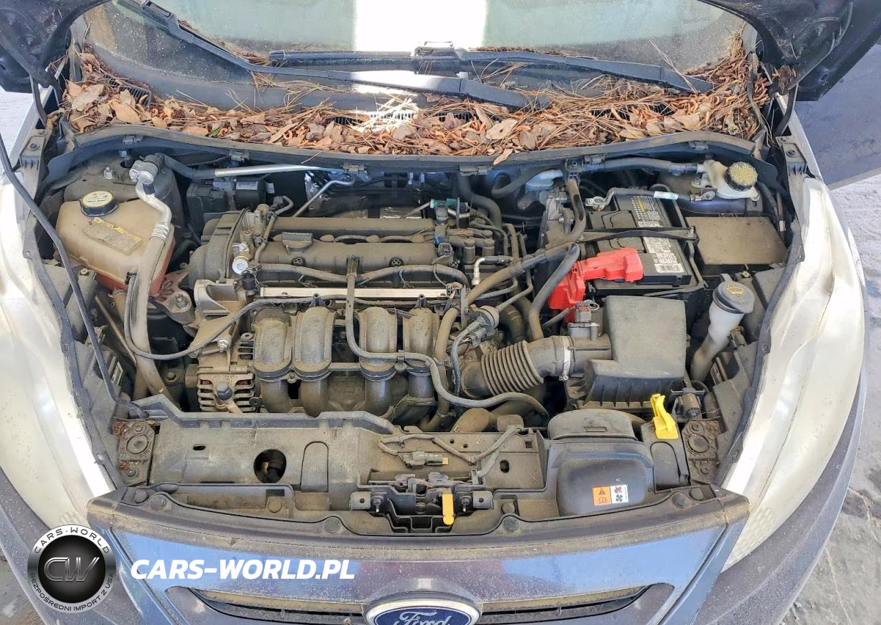 2013 Ford Fiesta Se VIN:3FADP4EJ5DM117765 - 11