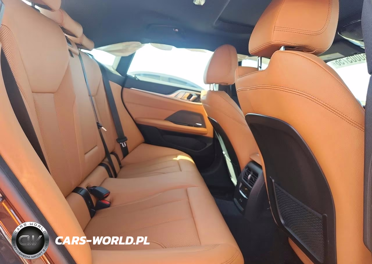 2023 BMW 430I Gran Coupe VIN:WBA63AV07PFP02899 - 10