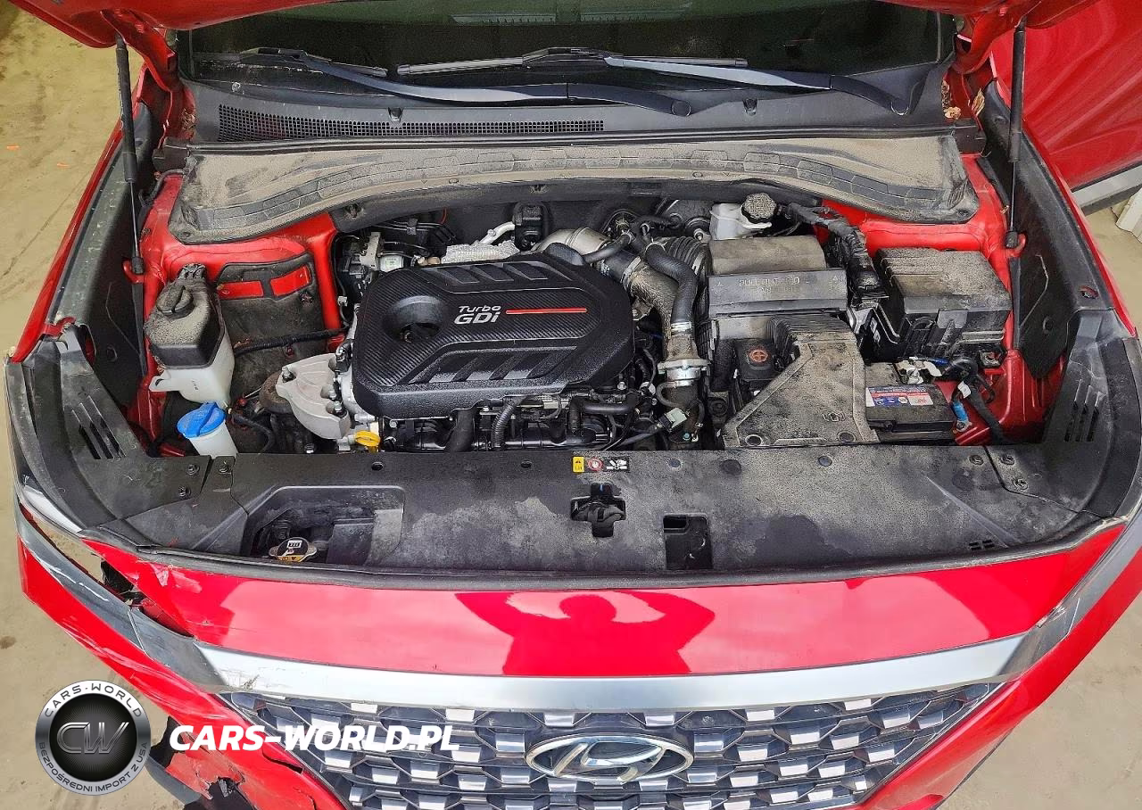 2020 Hyundai Santa Fe Sel 2.0T VIN:5NMS3CAA3LH231486 - 12