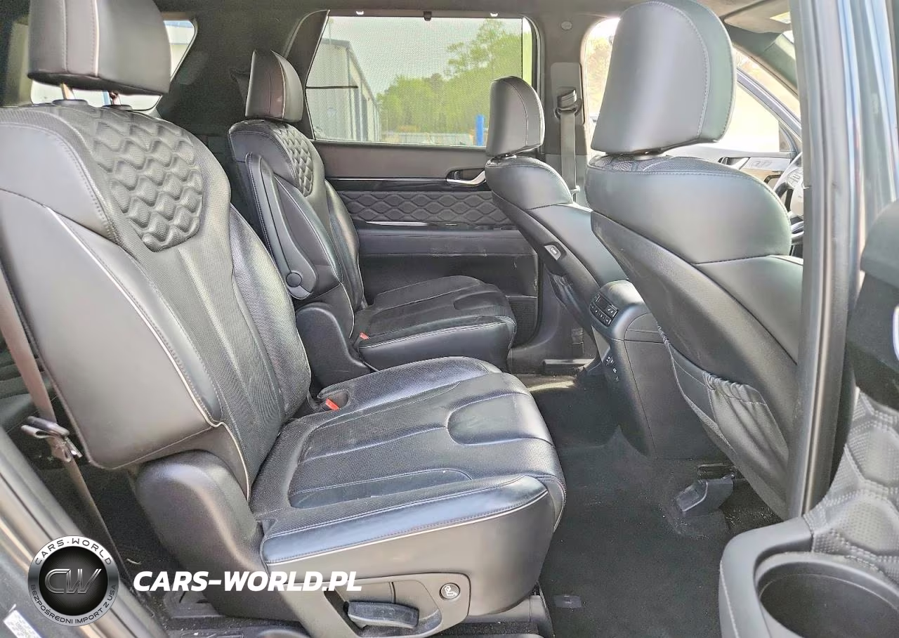 2020 Hyundai Palisade Limited VIN:KM8R5DHE9LU070329 - 11