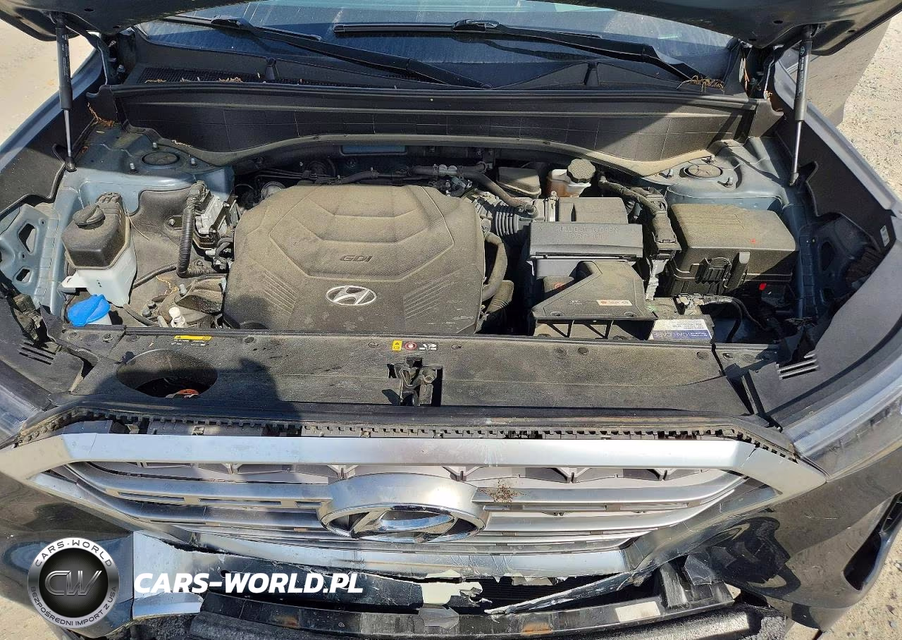 2020 Hyundai Palisade Limited VIN:KM8R5DHE9LU070329 - 12