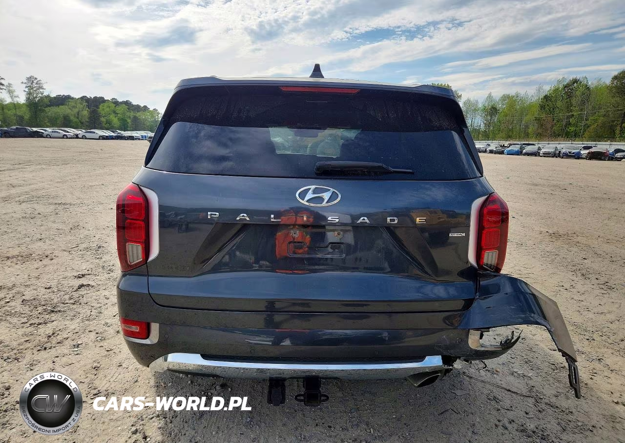 2020 Hyundai Palisade Limited VIN:KM8R5DHE9LU070329 - 6