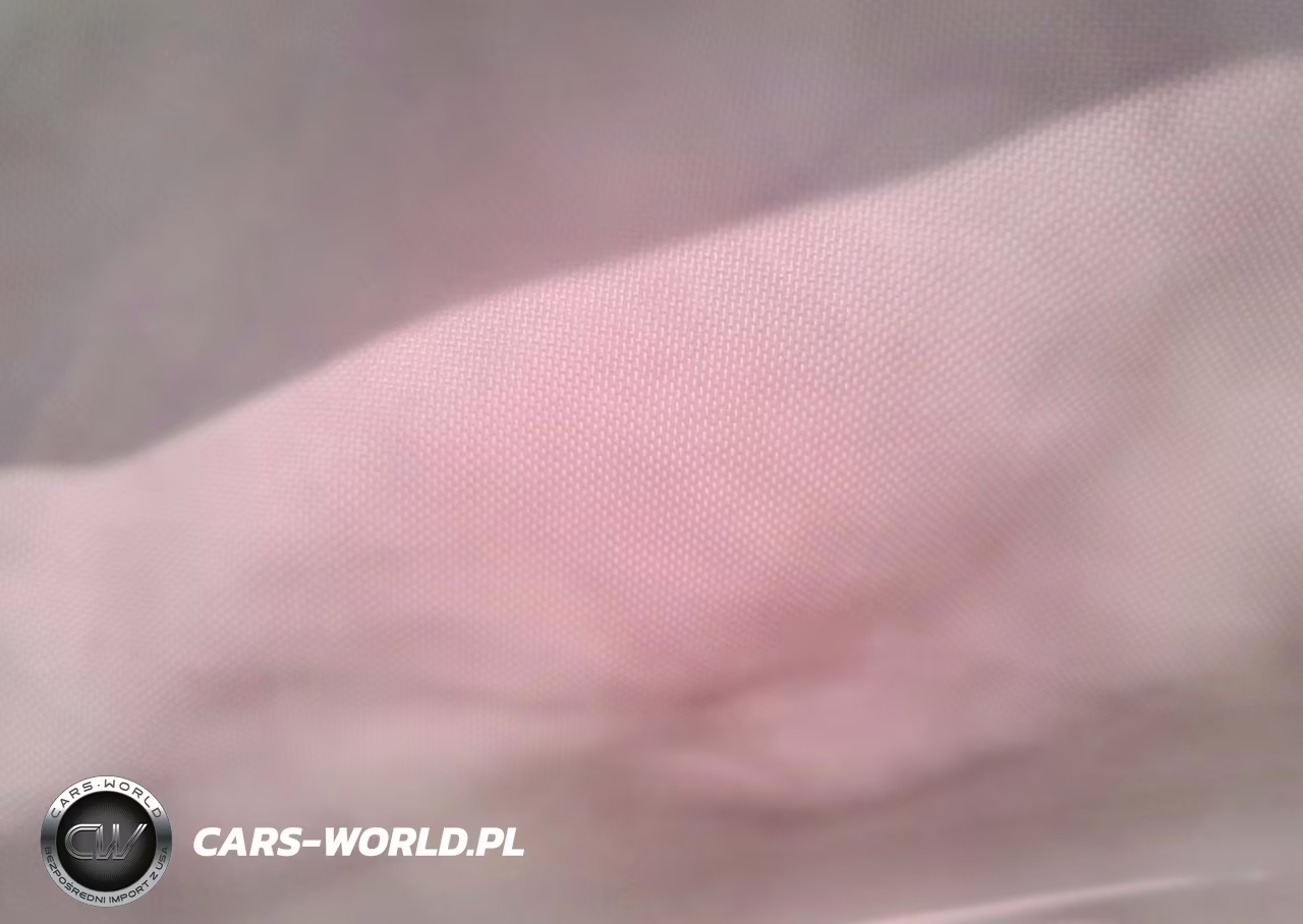 2023 Tesla Model 3 VIN:5YJ3E1EA7PF556114 - 10