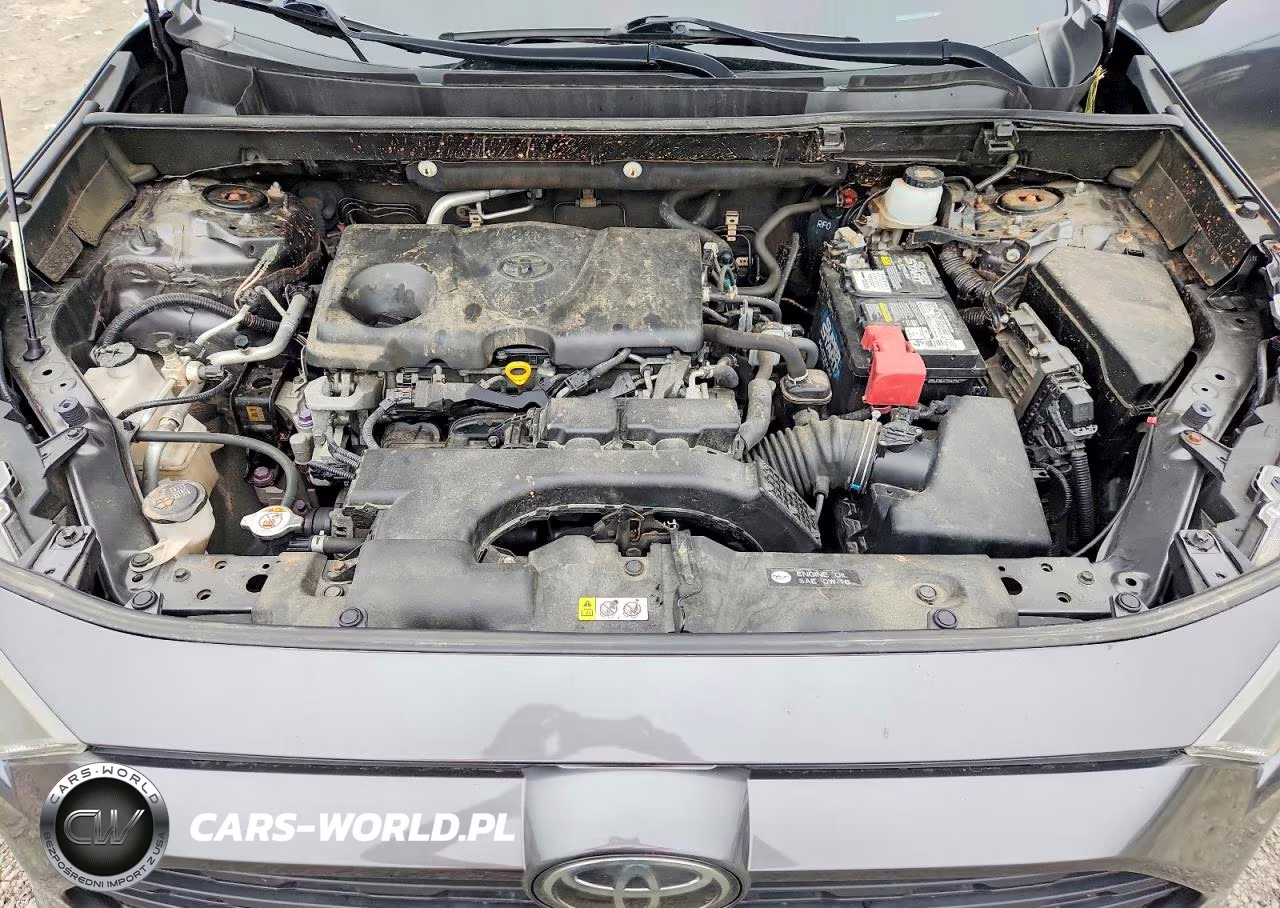 2019 Toyota Rav4 Le VIN:JTMG1RFV3KJ003006 - 12