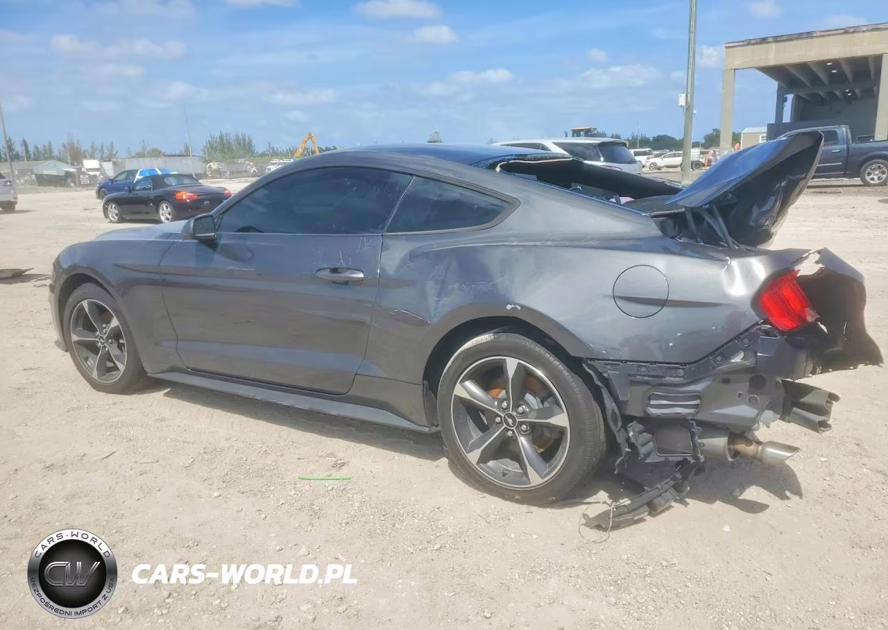 2018 Ford Mustang VIN:1FA6P8TH0J5171024 - 2