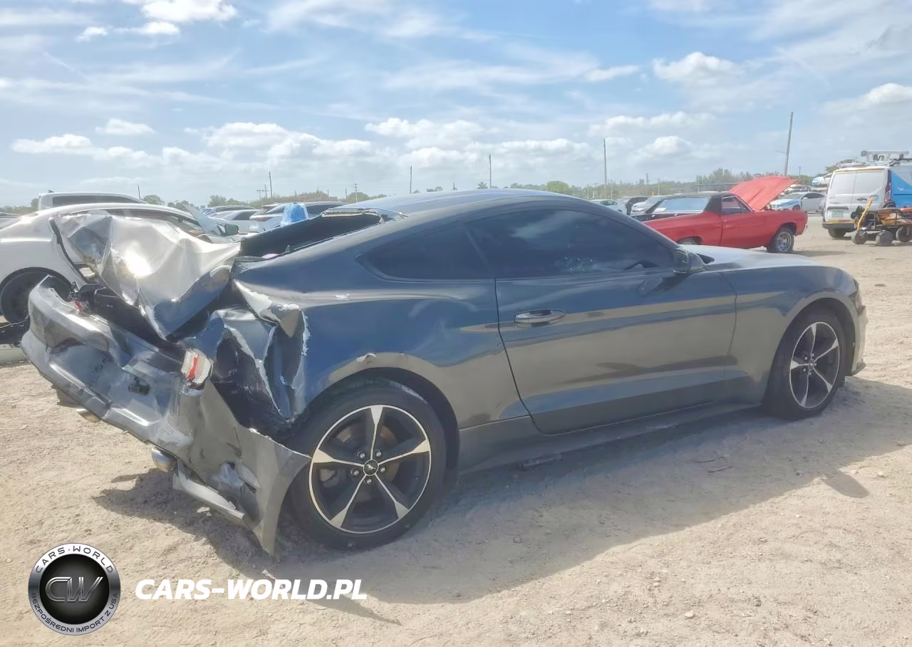 2018 Ford Mustang VIN:1FA6P8TH0J5171024 - 3