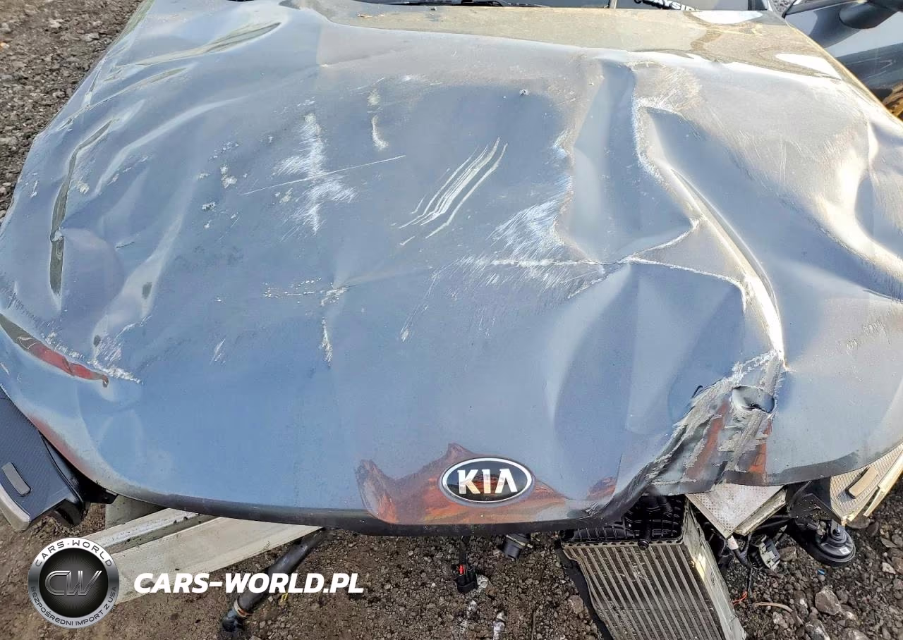 2021 Kia K5 Lxs VIN:5XXG14J21MG015792 - 11