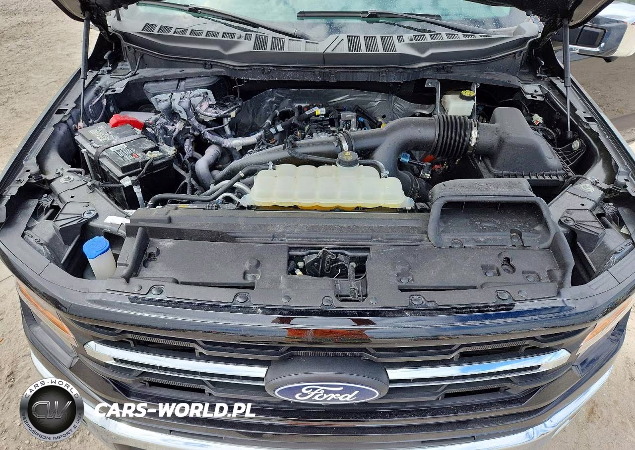 2024 Ford F150 Xlt VIN:1FTEW3KP2RKE89020 - 11