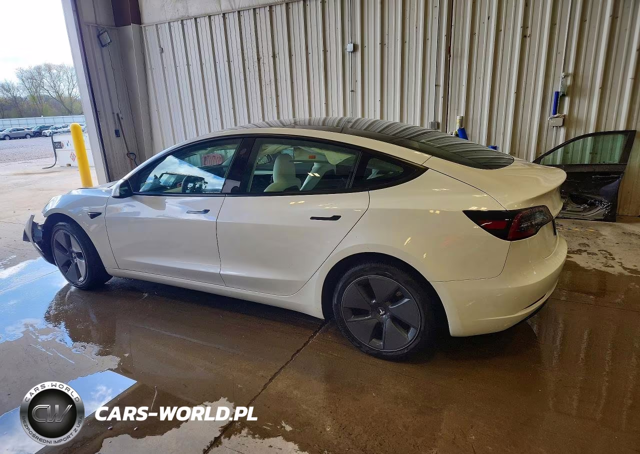 2023 Tesla Model 3 VIN:5YJ3E1EA3PF573119 - 2