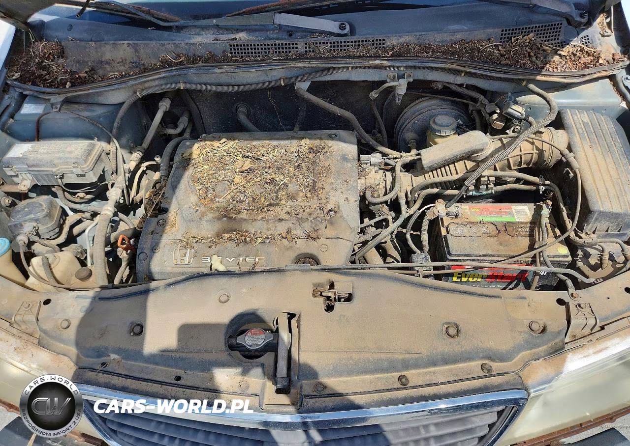 2000 Honda Odyssey Lx VIN:2HKRL1851YH548754 - 12