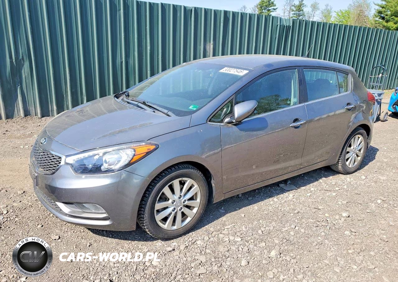 2014 Kia Forte5