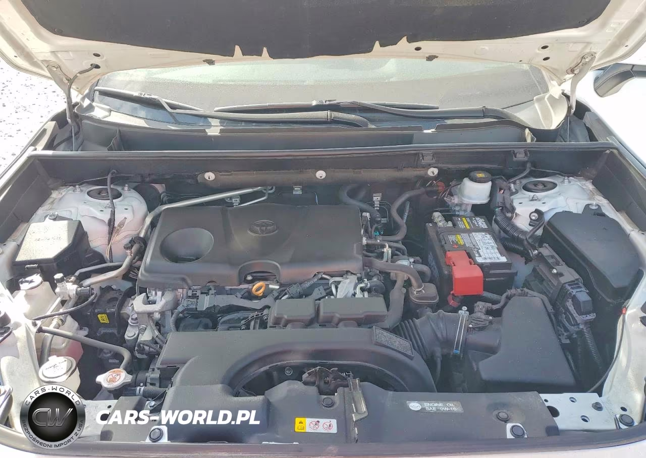 2019 Toyota Rav4 Xle Premium VIN:2T3C1RFV2KC013317 - 12