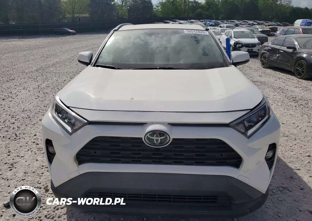 2019 Toyota Rav4 Xle Premium VIN:2T3C1RFV2KC013317 - 5