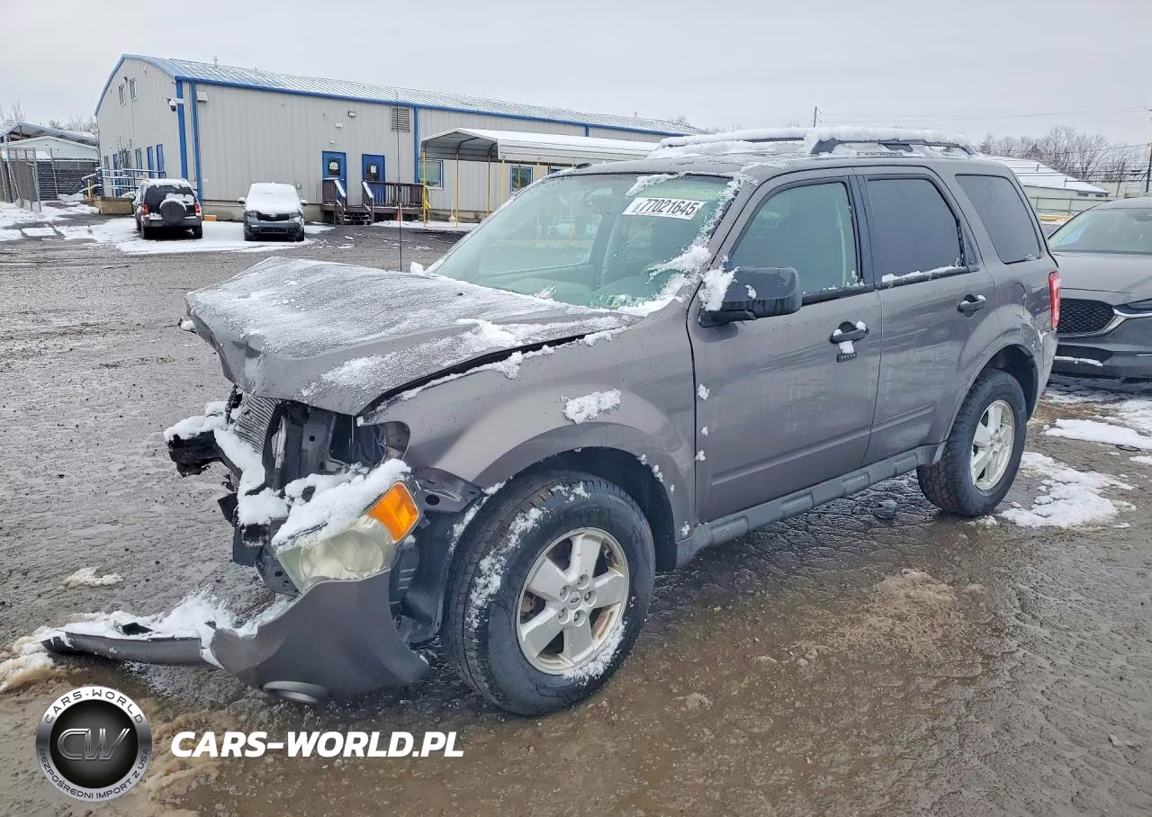 2010 Ford Escape Xlt