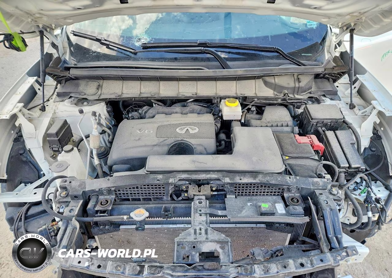 2023 Infiniti Qx60 Luxe VIN:5N1DL1FS1PC346473 - 12