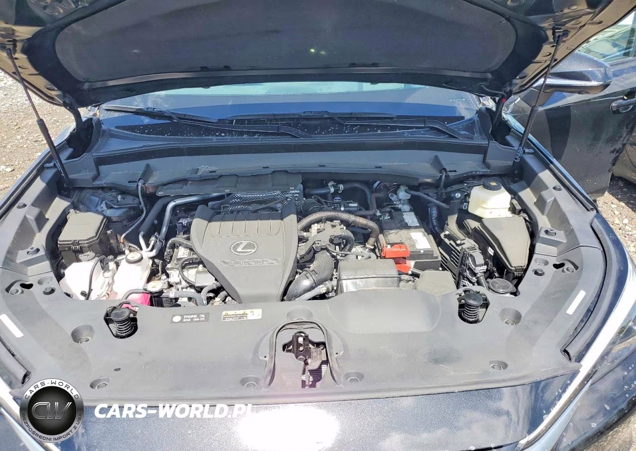 2024 Lexus Tx 350 Luxury VIN:5TDAAAB61RS012564 - 11