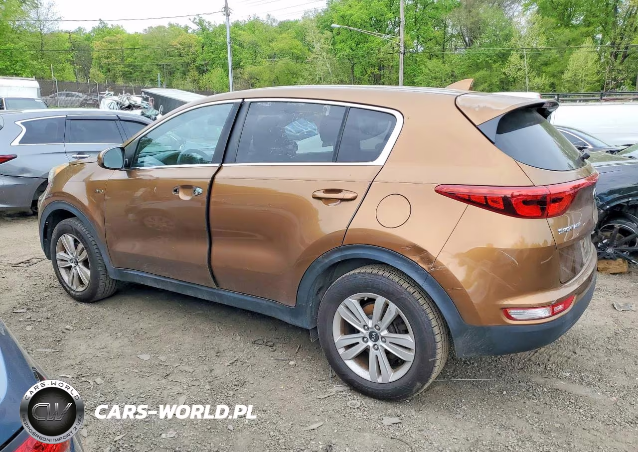 2017 Kia Sportage Lx VIN:KNDPMCAC3H7033056 - 2