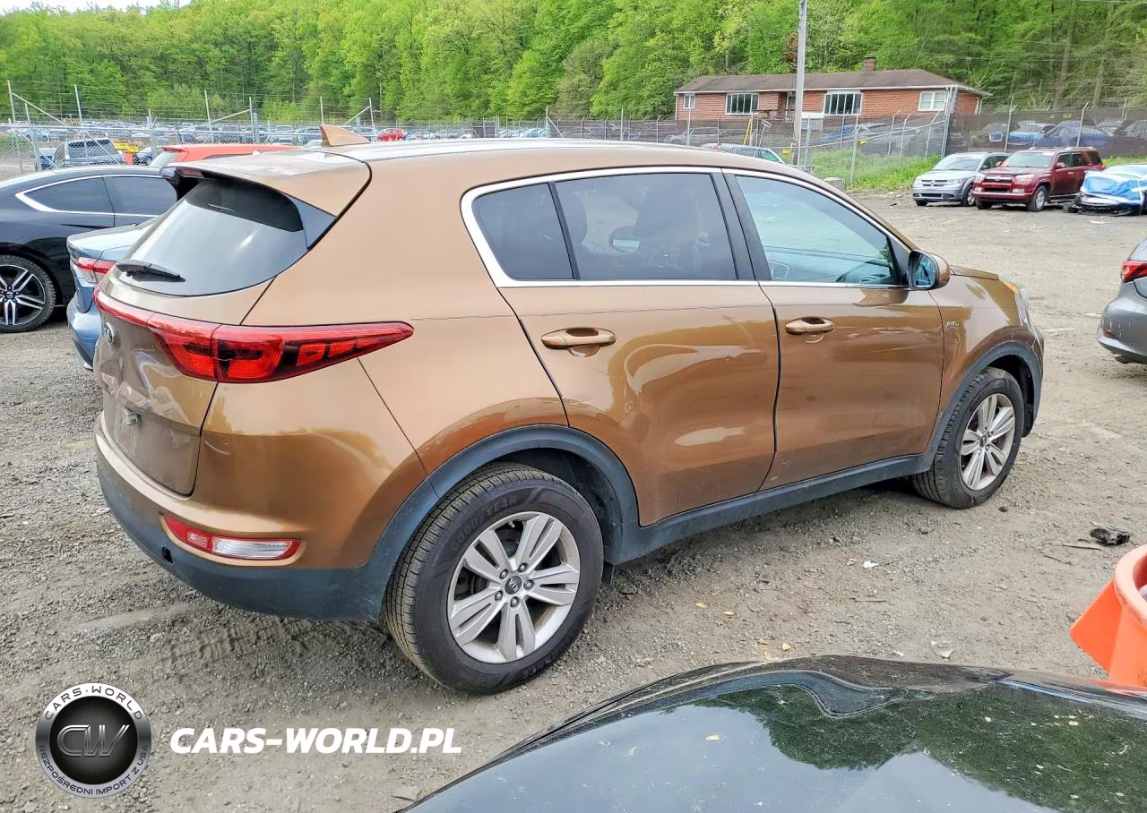 2017 Kia Sportage Lx VIN:KNDPMCAC3H7033056 - 3
