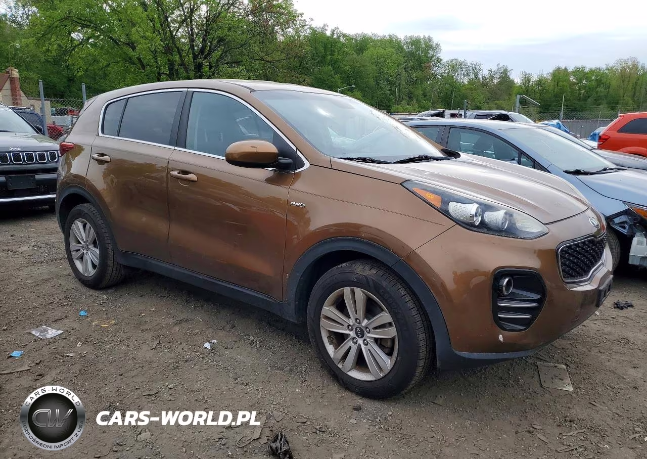 2017 Kia Sportage Lx VIN:KNDPMCAC3H7033056 - 4