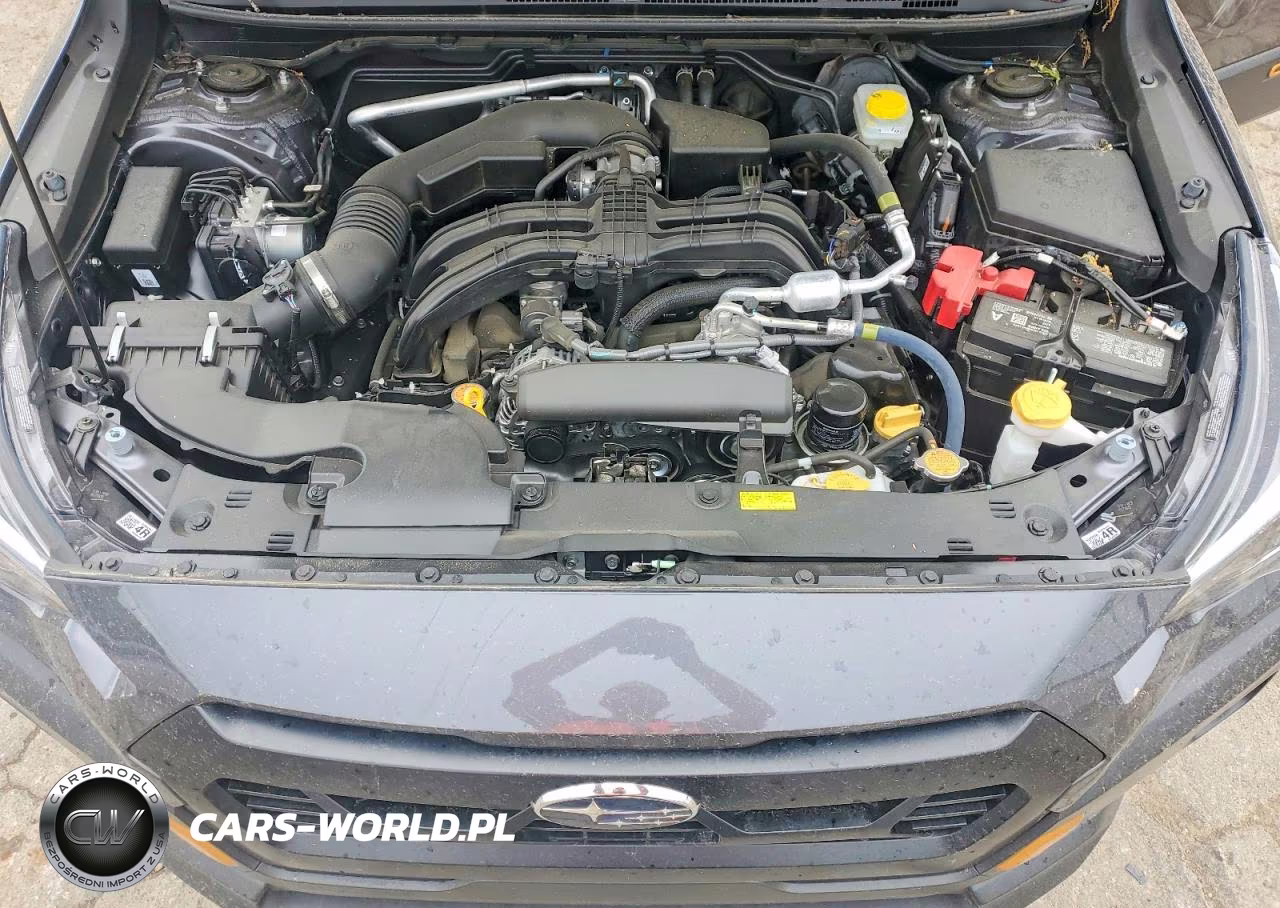 2025 Subaru Crosstrek Wilderness VIN:4S4GUHU65S3739054 - 11