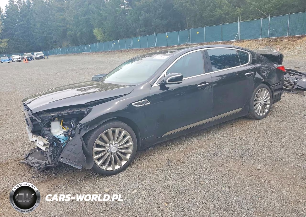2018 Kia K900