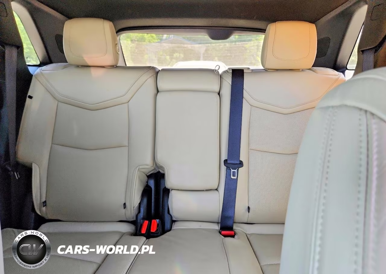 2019 Cadillac Xt5 Luxury VIN:1GYKNCRS6KZ300649 - 10