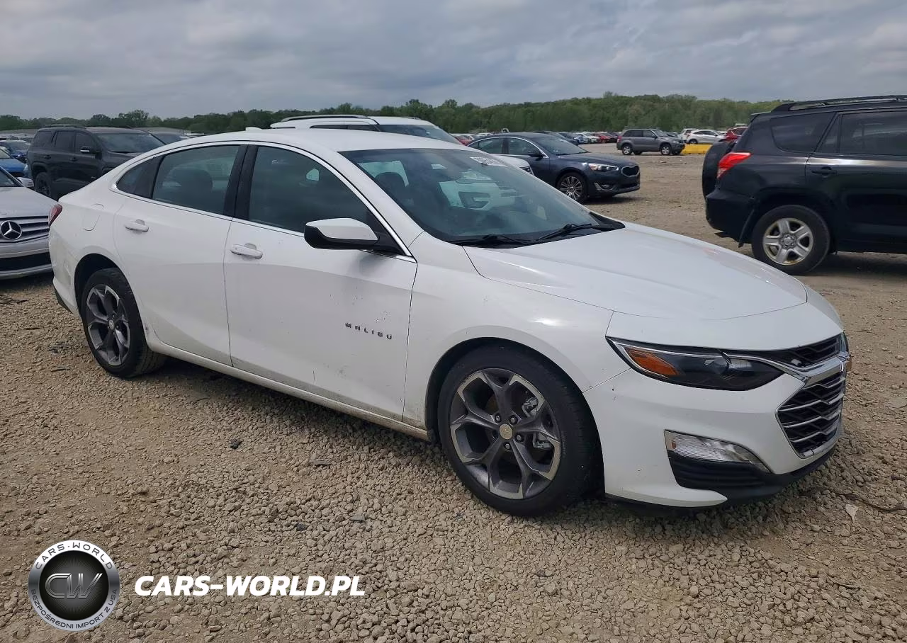 2020 Chevrolet Malibu Lt VIN:1G1ZD5ST9LF105677 - 4