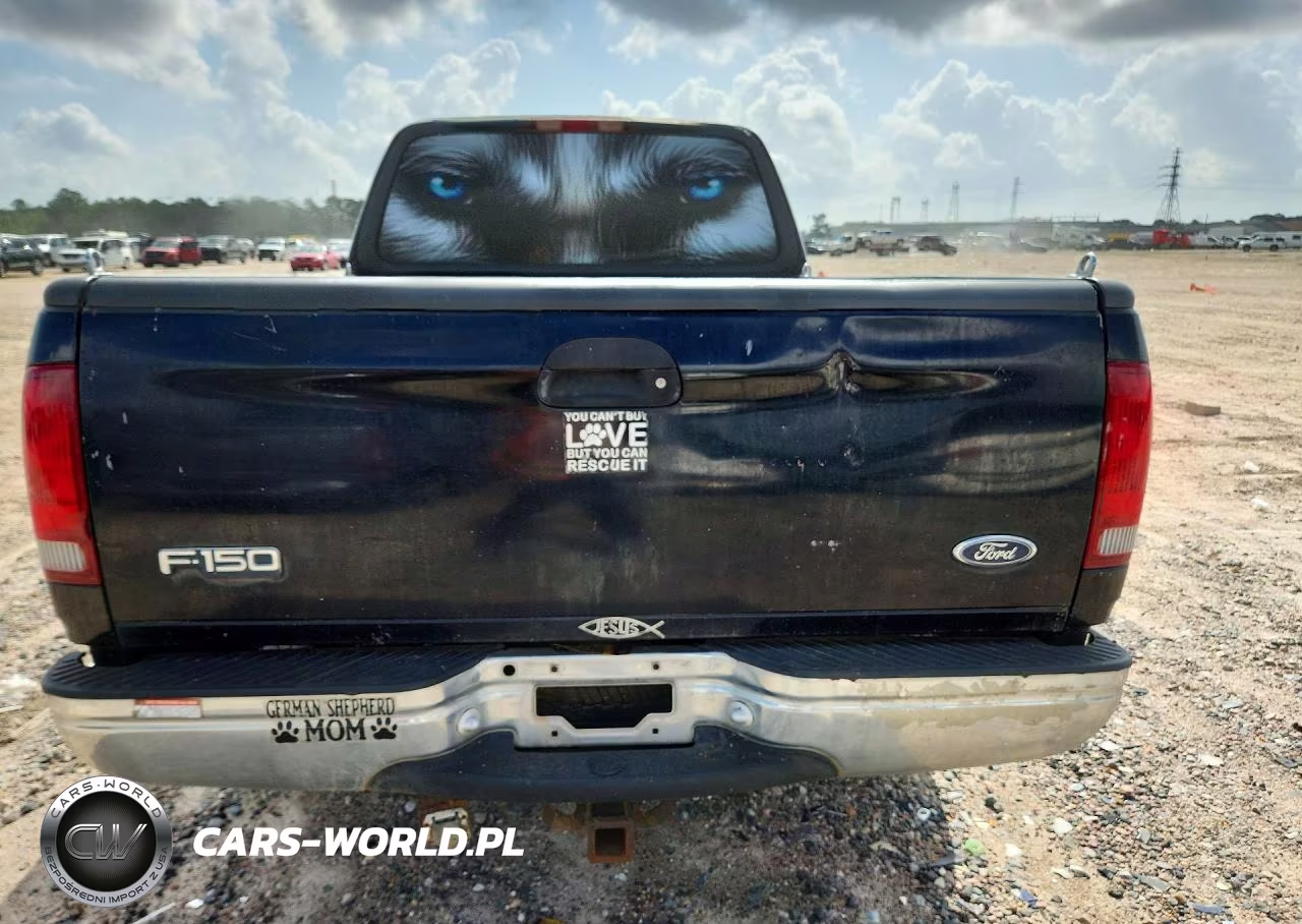 1999 Ford F150 VIN:1FTRX17L7XKA20463 - 6