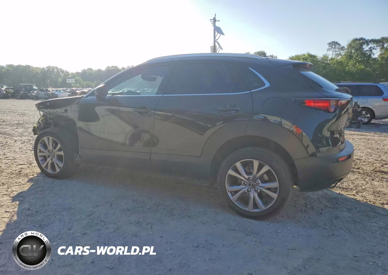 2022 Mazda Cx-30 Premium VIN:3MVDMBDL1NM407642 - 2