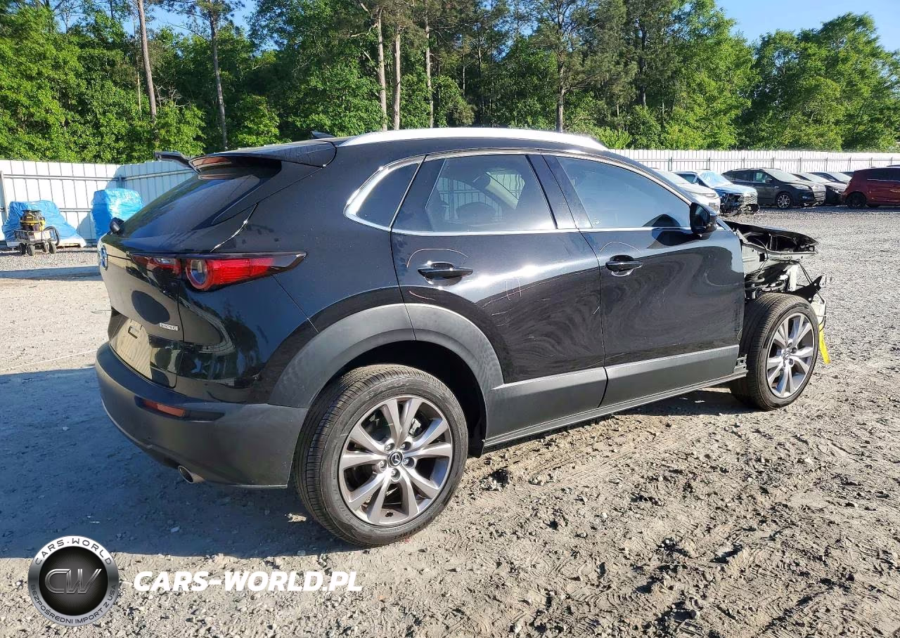 2022 Mazda Cx-30 Premium VIN:3MVDMBDL1NM407642 - 3