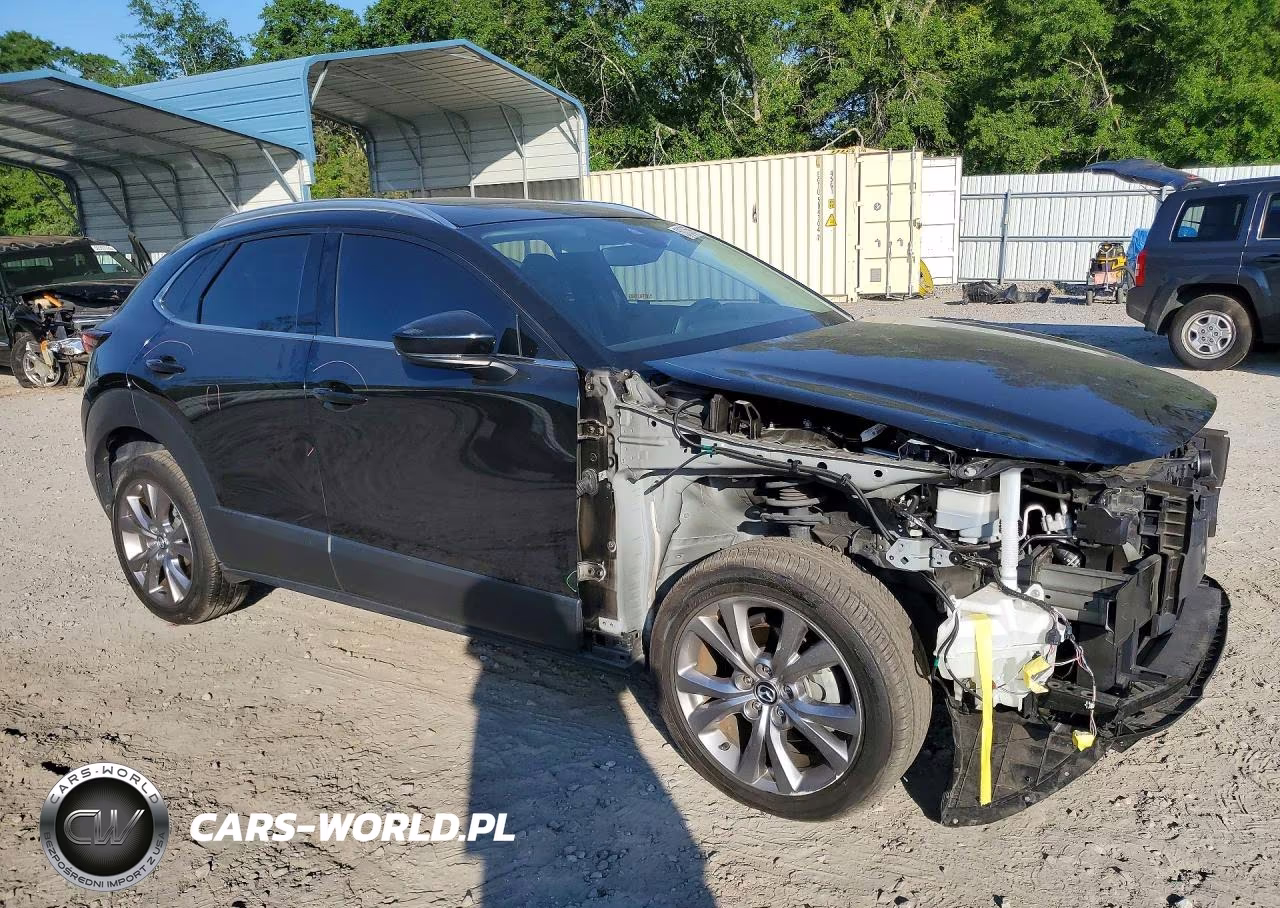 2022 Mazda Cx-30 Premium VIN:3MVDMBDL1NM407642 - 4
