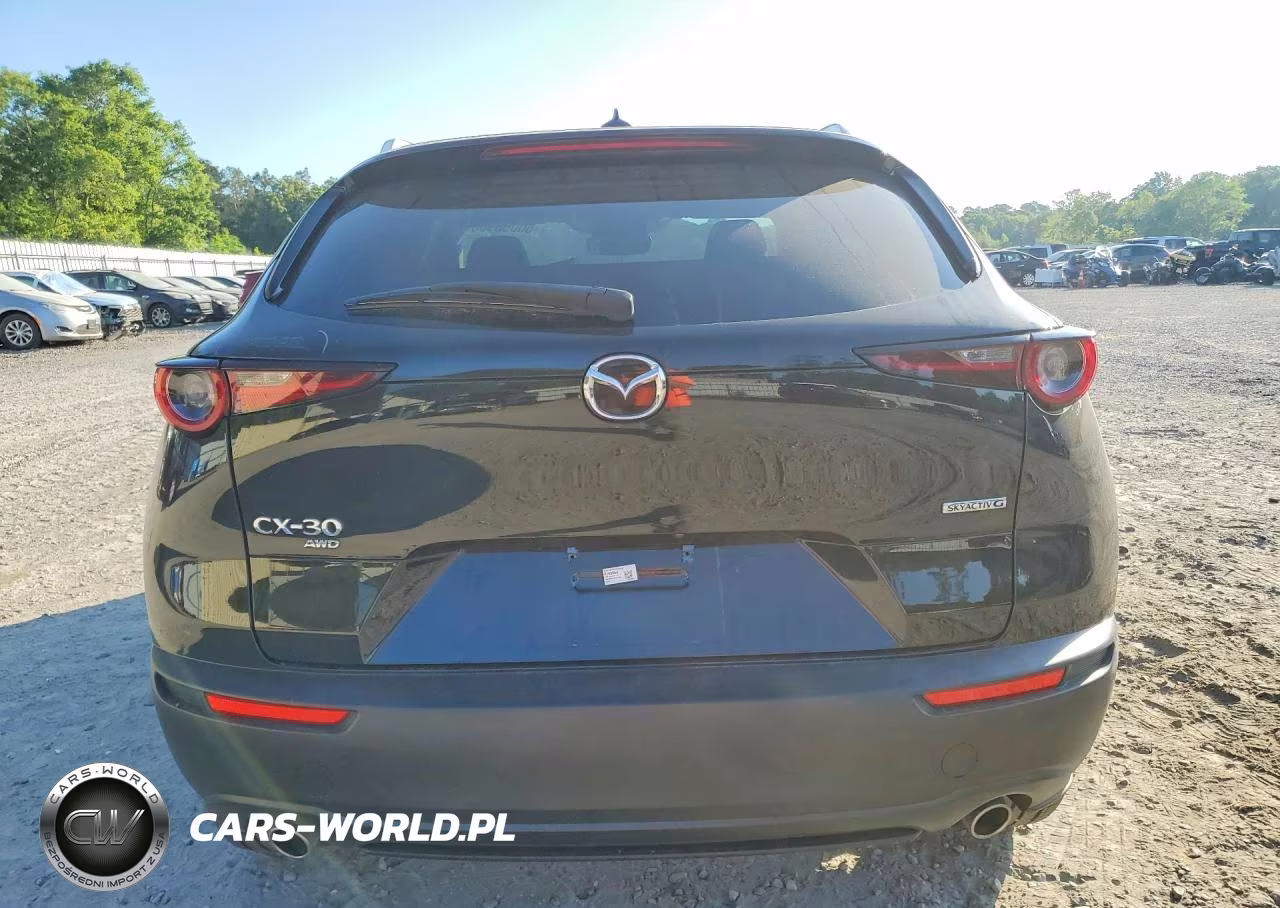 2022 Mazda Cx-30 Premium VIN:3MVDMBDL1NM407642 - 6
