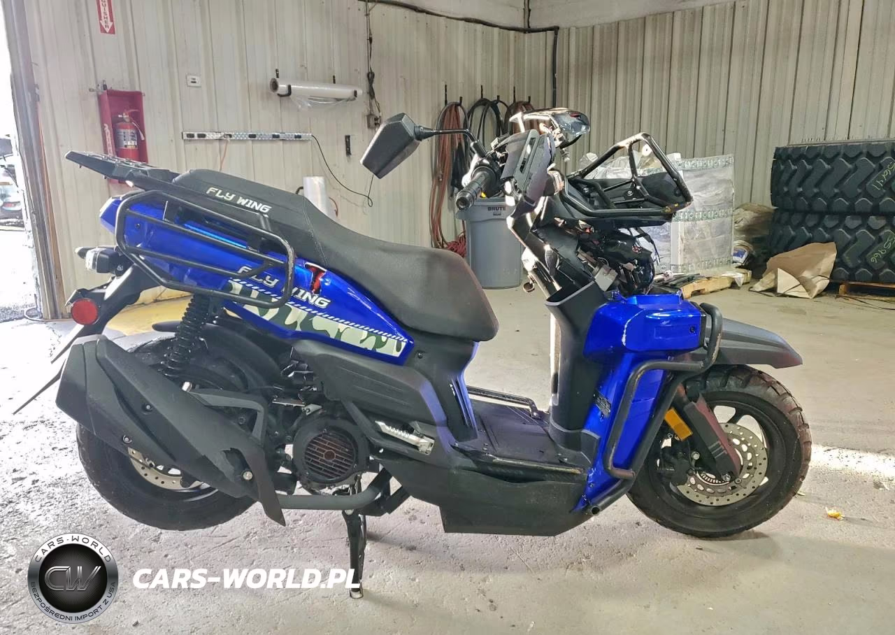 2025 Taiz Moped