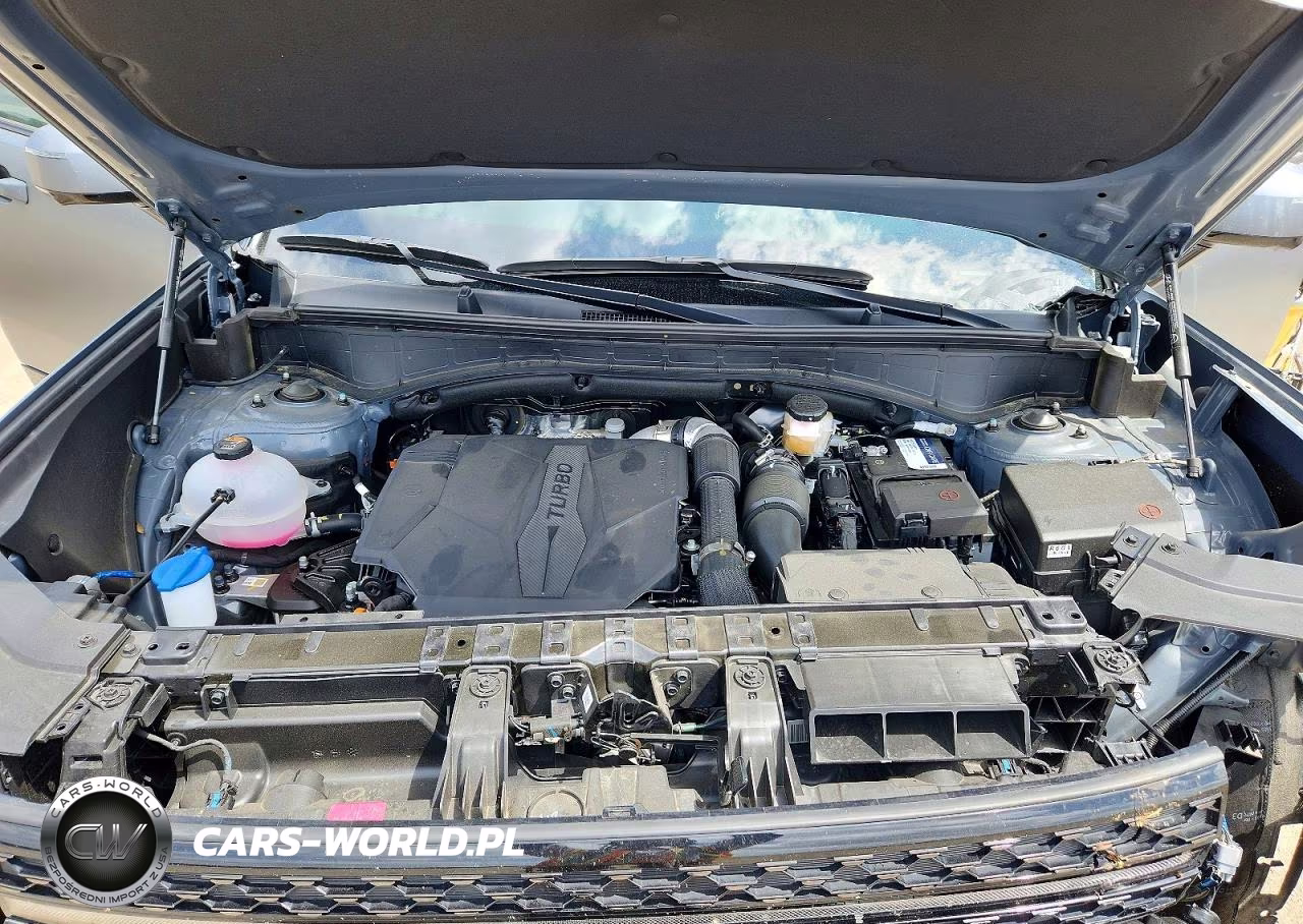 2025 Hyundai Santa Fe Calligraphy VIN:5NMP5DGL1SH108539 - 12