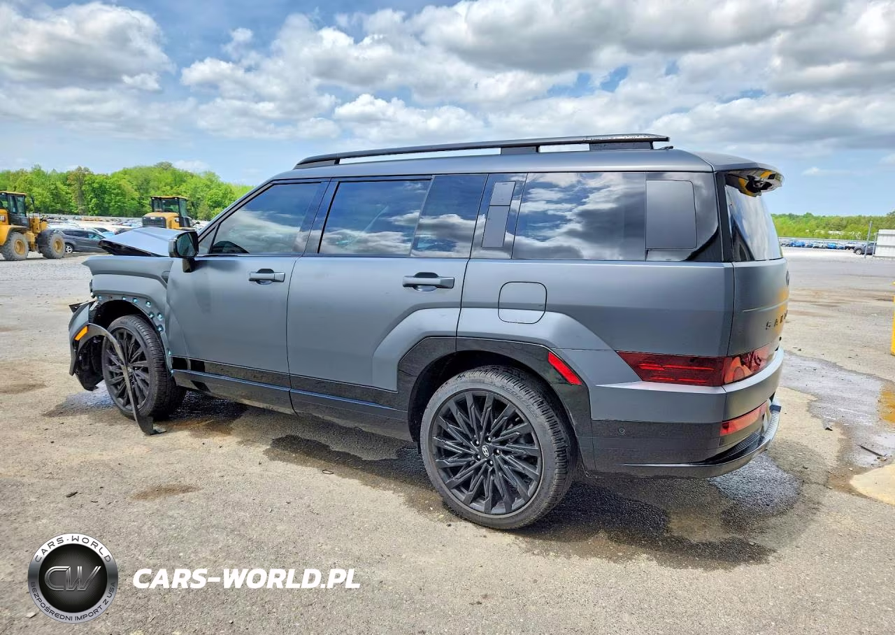 2025 Hyundai Santa Fe Calligraphy VIN:5NMP5DGL1SH108539 - 2