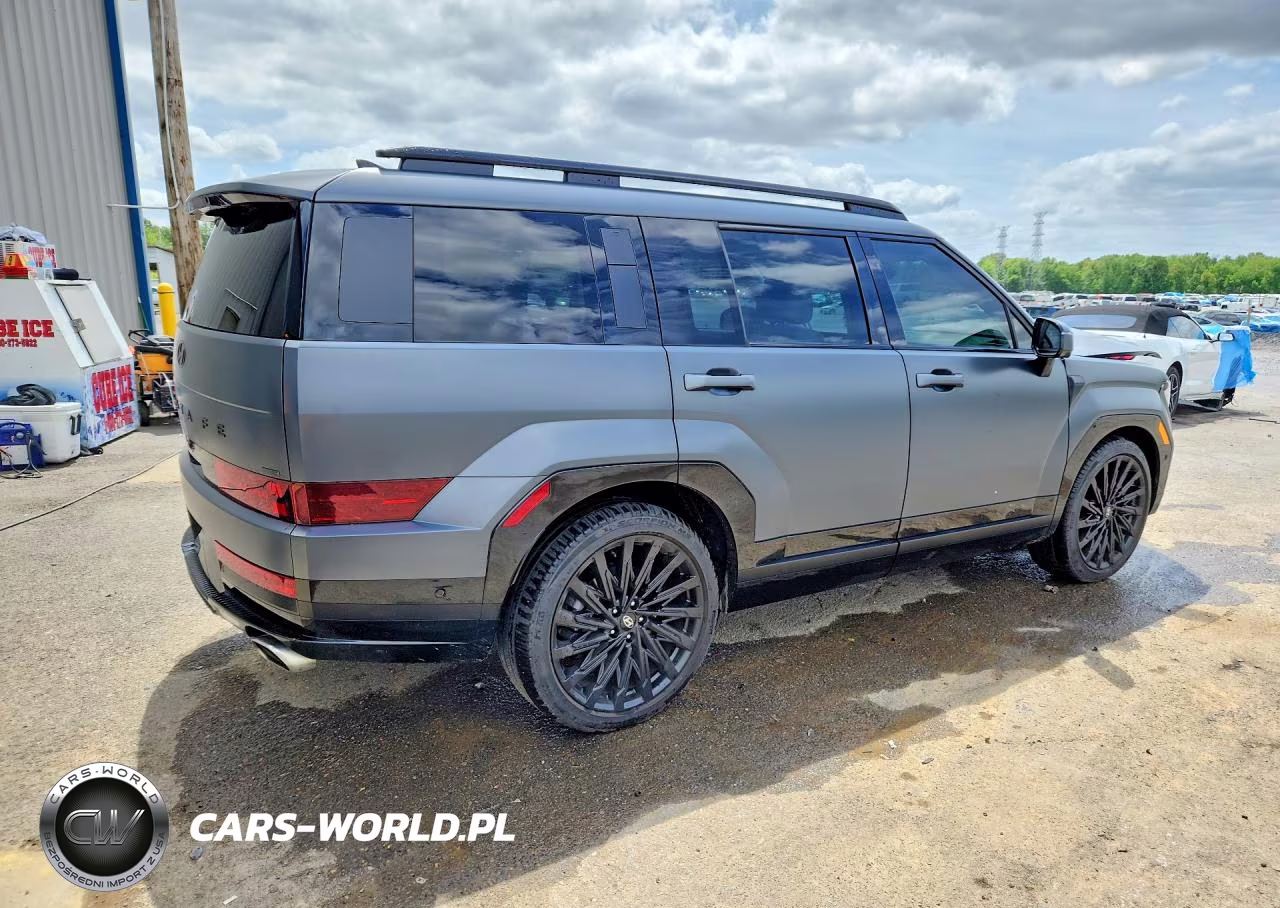 2025 Hyundai Santa Fe Calligraphy VIN:5NMP5DGL1SH108539 - 3