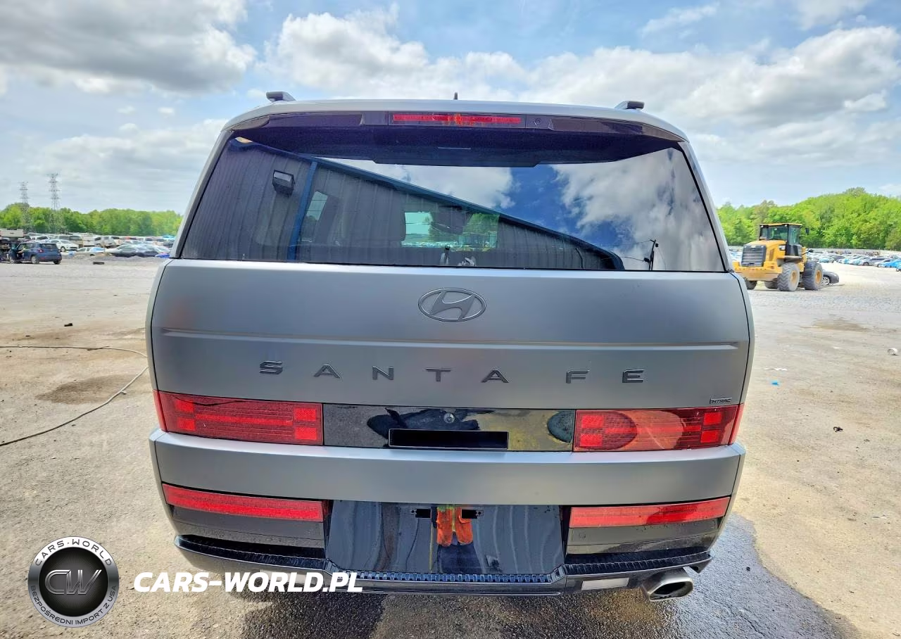 2025 Hyundai Santa Fe Calligraphy VIN:5NMP5DGL1SH108539 - 6