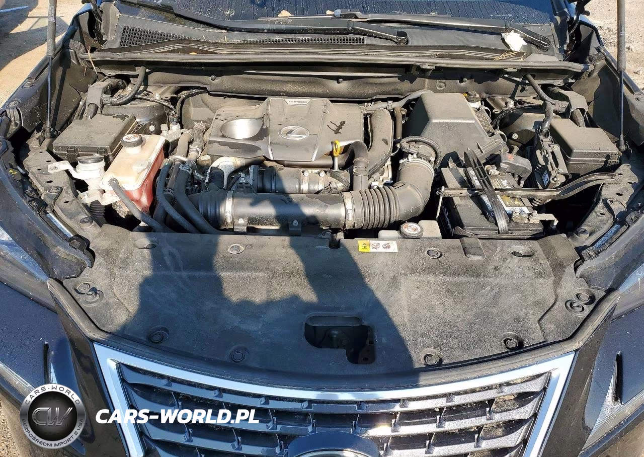 2018 Lexus Nx 300 Base VIN:JTJYARBZ7J2093408 - 12