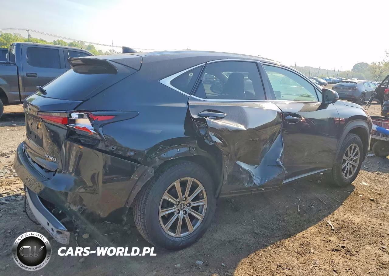 2018 Lexus Nx 300 Base VIN:JTJYARBZ7J2093408 - 3