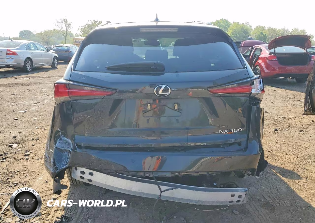 2018 Lexus Nx 300 Base VIN:JTJYARBZ7J2093408 - 6
