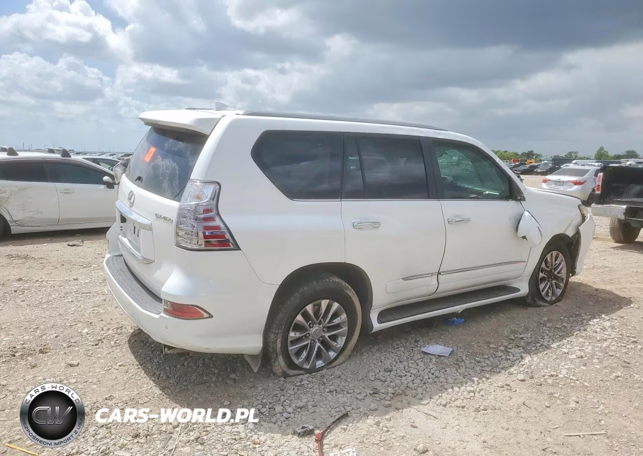 2018 Lexus Gx 460 VIN:JTJBM7FXXJ5185007 - 3