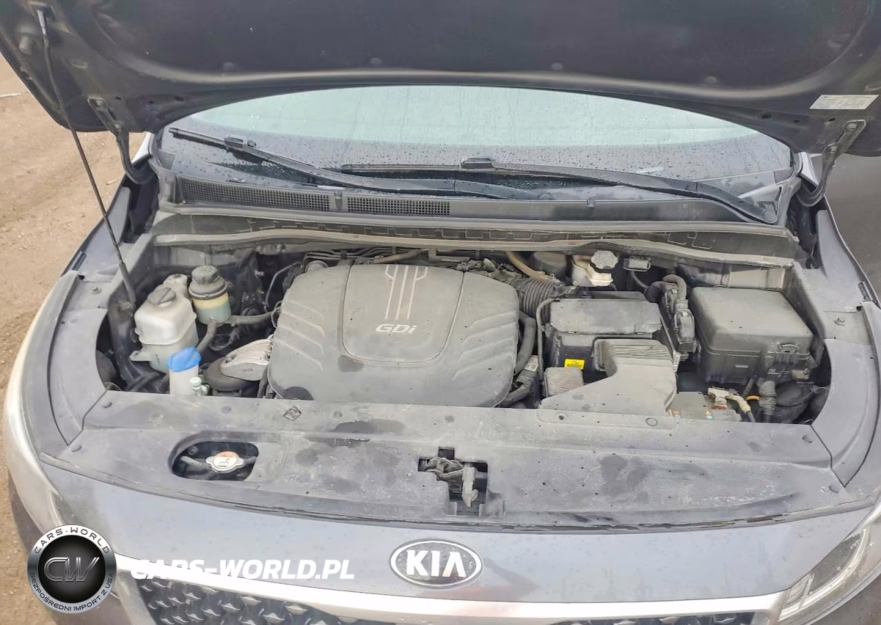 2016 Kia Sedona Lx VIN:KNDMB5C12G6146470 - 12