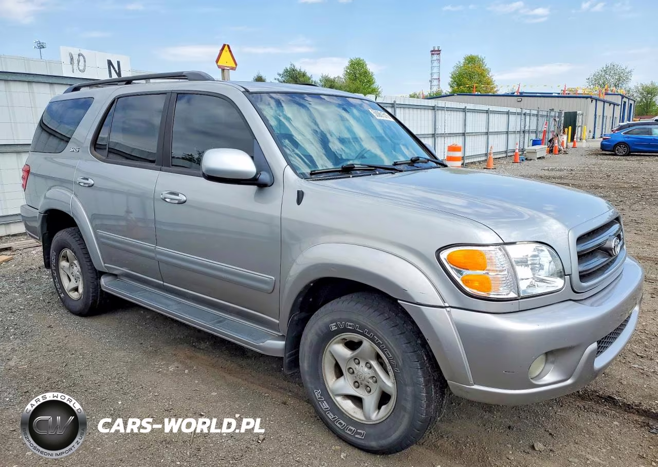 2002 Toyota Sequoia Sr5 VIN:5TDBT44A12S134980 - 4
