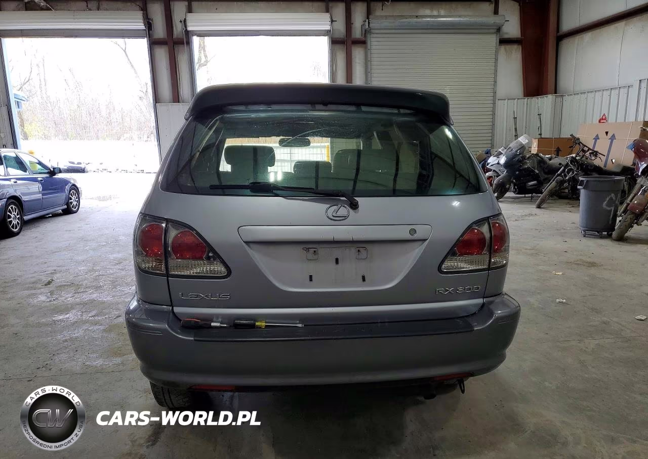 2003 Lexus Rx 300 VIN:JTJHF10U430304914 - 6