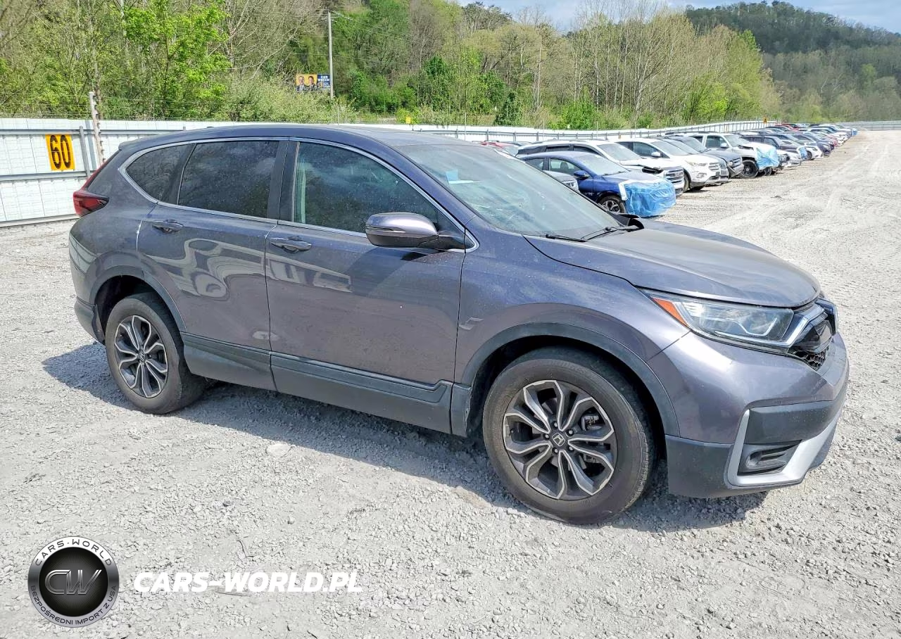 2020 Honda Cr-V Exl VIN:5J6RW2H81LL046039 - 4