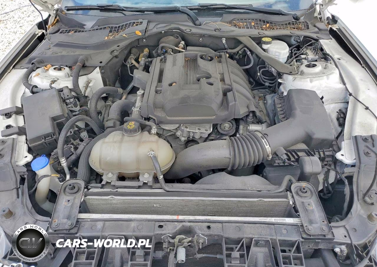 2020 Ford Mustang VIN:1FATP8UH7L5180016 - 11