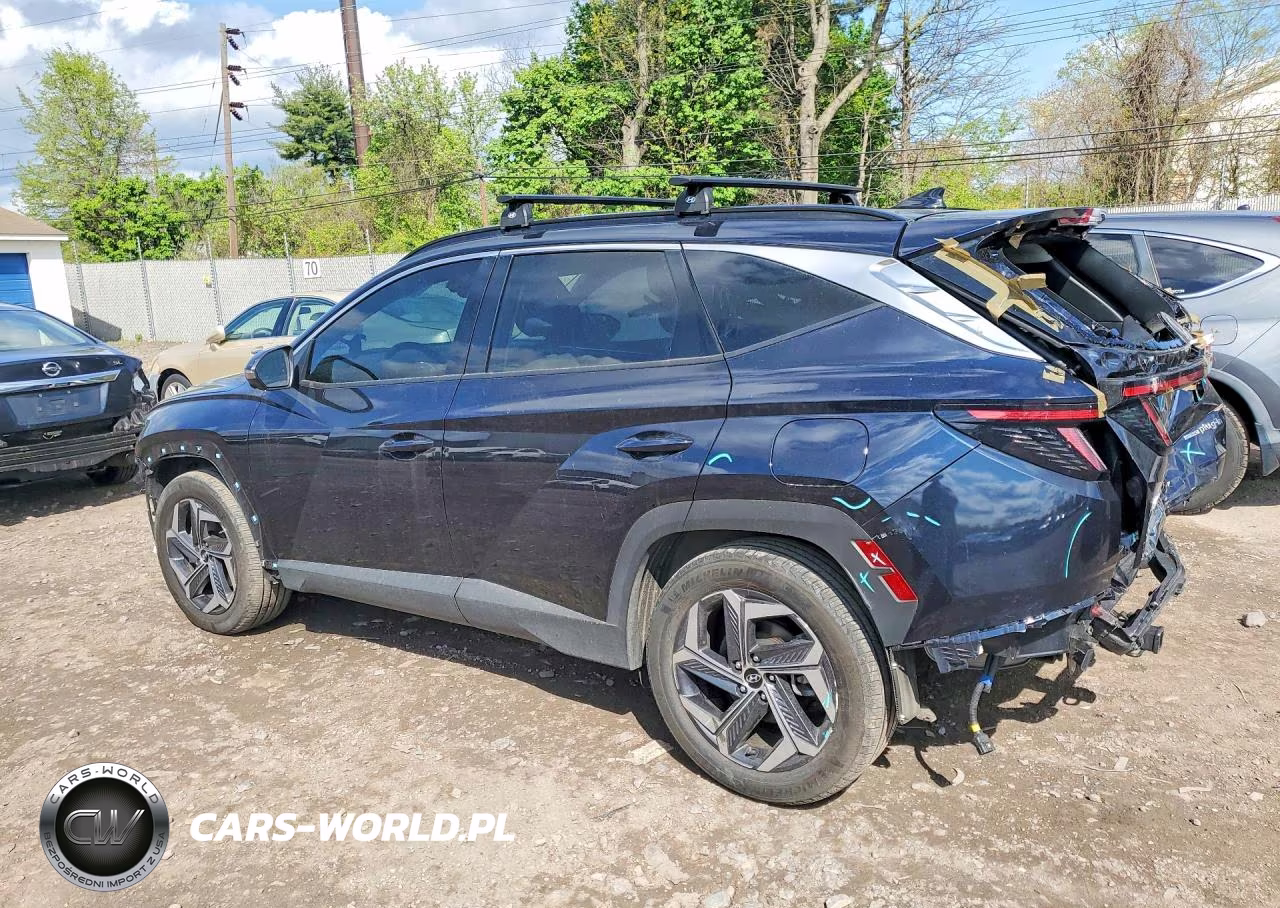 2023 Hyundai Tucson Limited VIN:KM8JFDA23PU134543 - 2