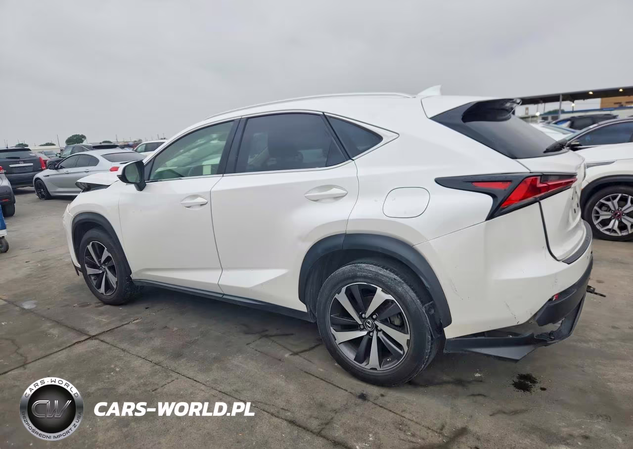2018 Lexus Nx 300 Base VIN:JTJYARBZXJ2103476 - 2